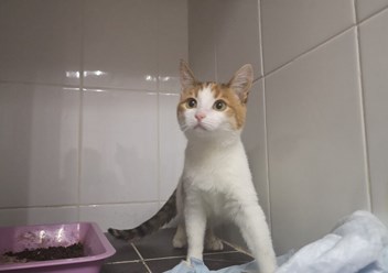 Фото компании  Эпиона 1