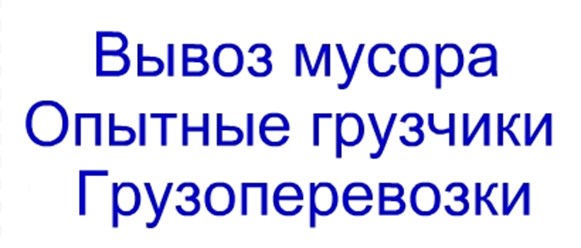 Фото компании ИП Орлов А.В. Вывоз мусора в Курске 50