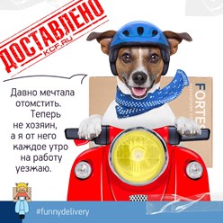 Фото компании ООО Фортис 1