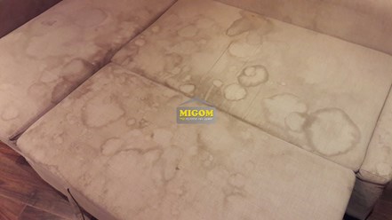 Фото компании  MIGOM 15
