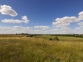 Окрестности Пасеки на Дону