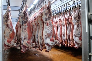 "ИМПЕРИЯ - МЯСОЕДОВ" - мясная продукция оптом от производителя.