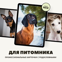 Фото компании ООО Breed Show 4