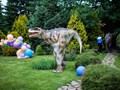 Фото компании ООО «Justshow» 1