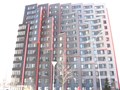 Велтон Парк Новая Сходня
