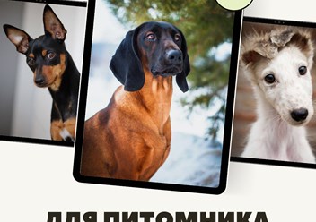 Фото компании ООО Breed Show 4