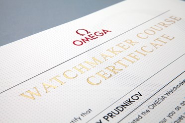 Фото компании  Ирис Дизайн 11