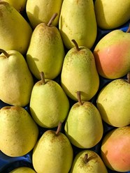 Груша Санта Мария из Турции. 115 руб./кг