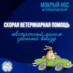 Фото компании ООО Мокрый нос 8