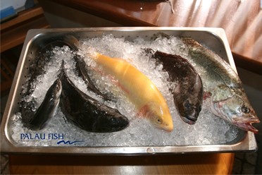 Фото компании  Palau Fish, ресторан 9