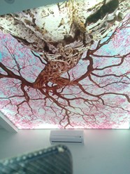 натяжной потолок с фотопечатью и подсветкой &quot;Сакура цветет!&quot;