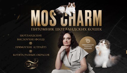 Фото компании ООО Мосшарм 1