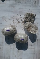 Фото компании ИП Грибной дом 2