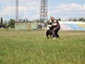 Фото компании  Питомник немецких овчарок и дрессировочный центр ENGELEND 3