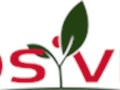 Логотип ТОВ Посівна