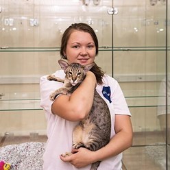 Фото компании  Зоогостиница Дмитров 7