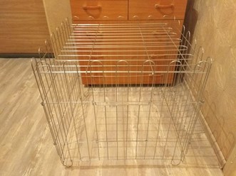 Фото компании ООО СмартДог24 15