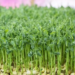 Фото компании ООО Green № 1 1