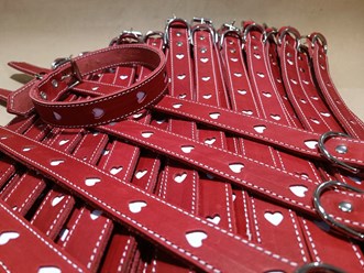 Фото компании  Petryaj™ 4