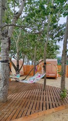 Площадку обслуживают кухни 2х ресторанов