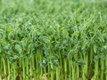 Фото компании ООО Green № 1 1