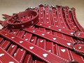 Фото компании  Petryaj™ 4