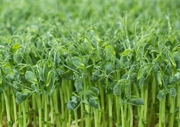 Фото компании ООО Green № 1 1