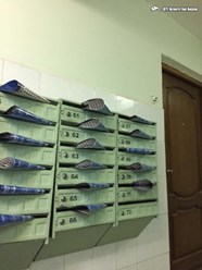 Фото компании ИП BTL Агентство Акула 67