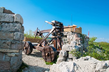 Фото компании ООО Лесные Угодья 6