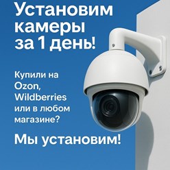Фото компании  Вектор 1