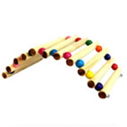 Фото компании  LIVEZOO 3