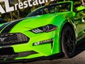 Фото компании ООО Premiumcarsochi 4