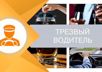 Фото компании ИП Городское Бюро Услуг "ОПОРА" 3