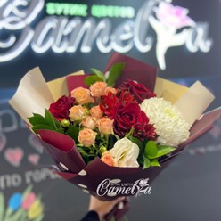 Фото компании  Camelia 1