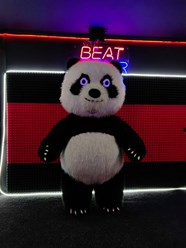 Фото компании ИП Red VR 3