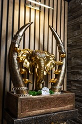 Фото компании  Wellness&SPA 4