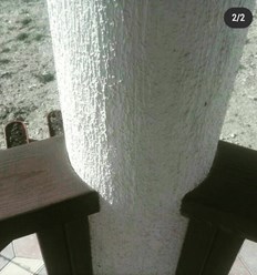 Фото компании ООО Wood-spectro 1