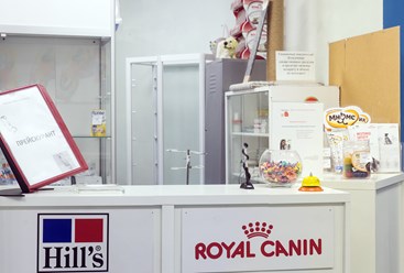 Фото компании  От носа до хвоста 5