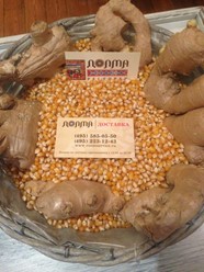 Фото компании  Долма, ресторан домашней кухни 22