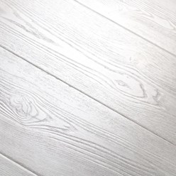 NP-12 Дуб северный