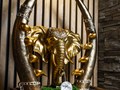 Фото компании  Wellness&SPA 4