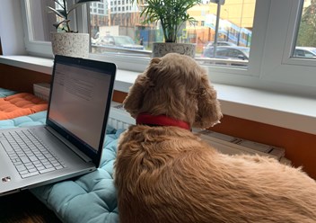 Фото компании ИП Лабрадобр 3