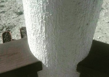 Фото компании ООО Wood-spectro 1