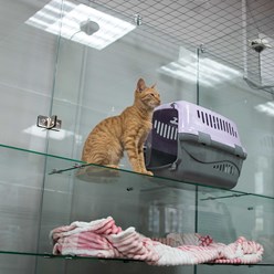 Фото компании ИП Terrakot 10