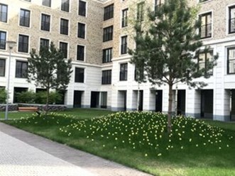 Фото компании  "Sun School" Павелецкая 2