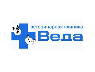Фото компании  Веда 29