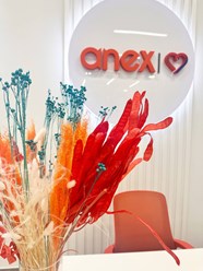 Фото компании  Anex 5