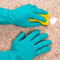 Фото компании  Химчистка ковров MIGOM 7