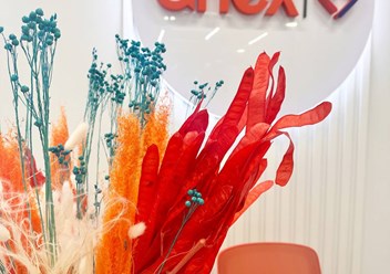 Фото компании  Anex 5