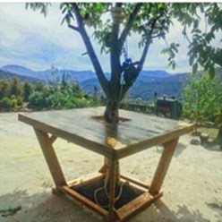 Фото компании ООО Wood-spectro 17